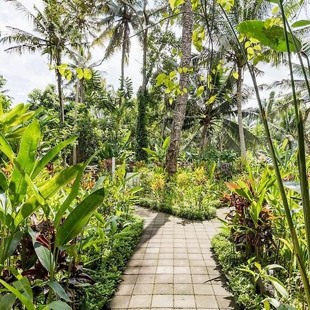 Rama Gaia Villa Ubud Exteriér fotografie