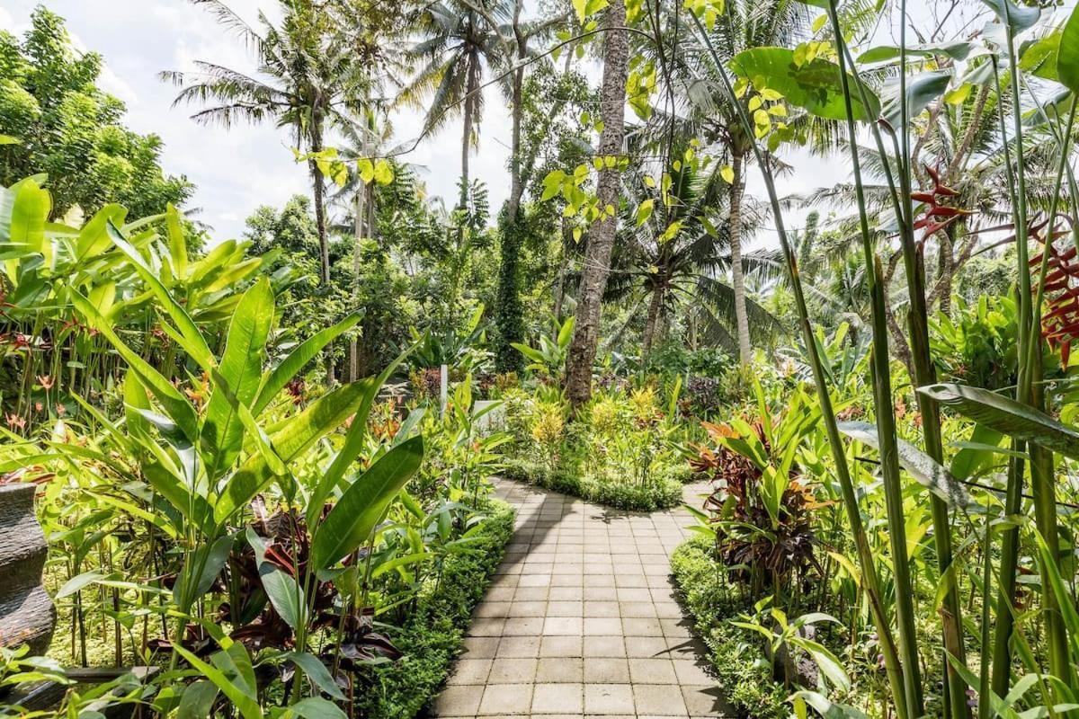 Rama Gaia Villa Ubud Exteriér fotografie
